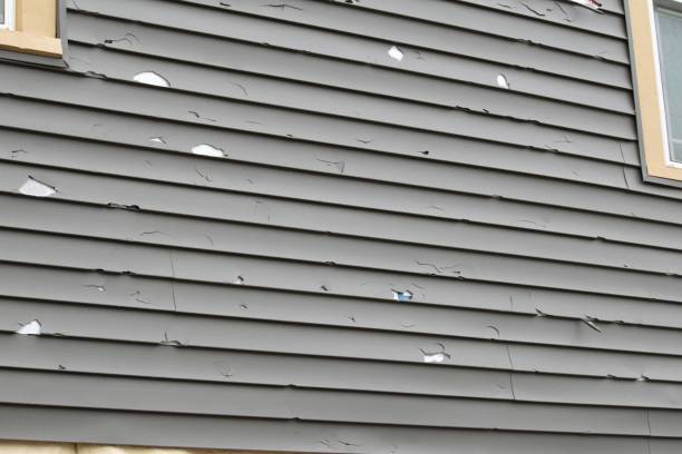 How To Choose The Right Materials for Your Siding Installation in 'Iuka, MS