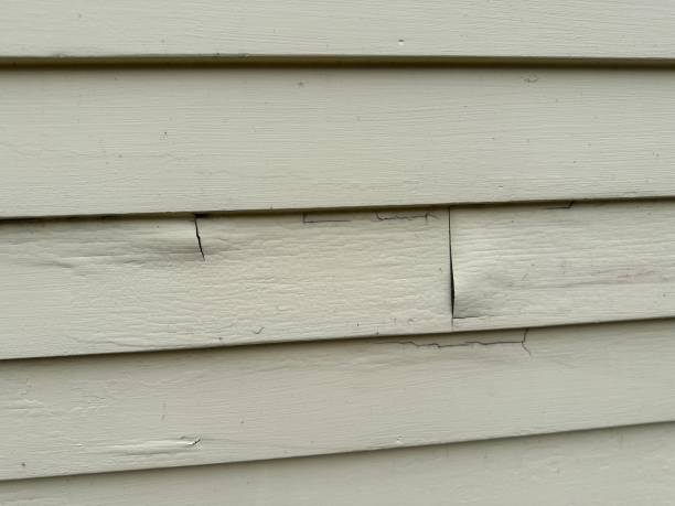 Best Storm Damage Siding Repair  in Iuka, MS